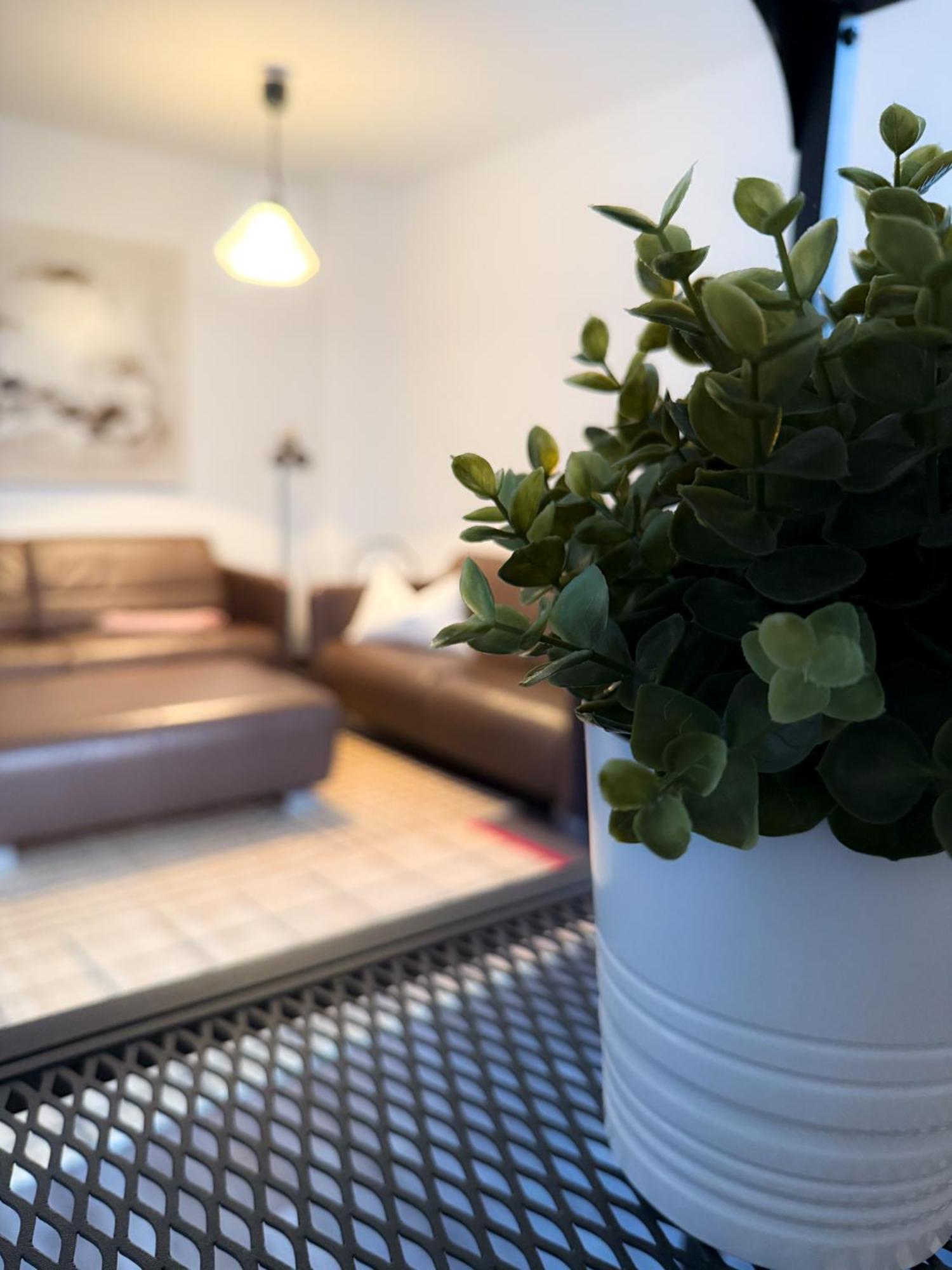 Alexxanders Apartments & Studios Chemnitz Kamer foto